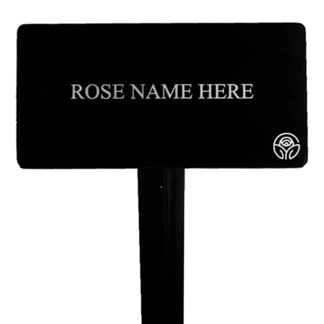 Abraham Darby® Stake>Heirloom Roses Sale