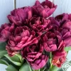Alison Bradley>Heirloom Roses New