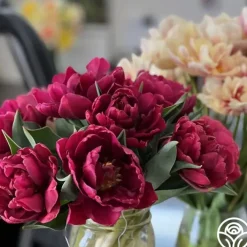 Alison Bradley>Heirloom Roses New