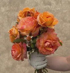 Arborose® Tangerine Skies><noscript><img width=