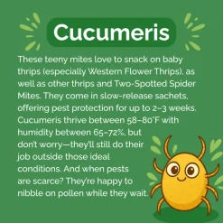 Beneficial Insect Subscription>Heirloom Roses Online