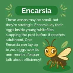 Beneficial Insect Subscription><noscript><img width=