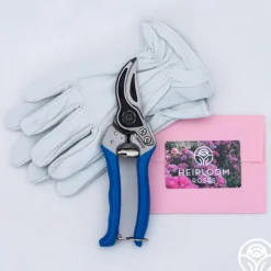 Bloom & Prune Gift Set>Heirloom Roses