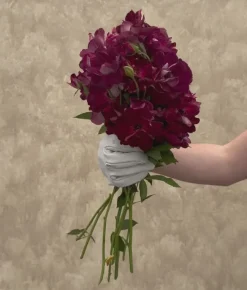 Burgundy Iceberg™><noscript><img width=