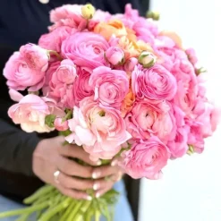 Elegance Pastello La Dolce Vita Mix>Heirloom Roses Outlet