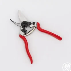 Felco 6 Pruners>Heirloom Roses Best