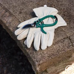 Flora Bypass Pruners><noscript><img width=