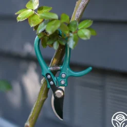 Flora Bypass Pruners><noscript><img width=