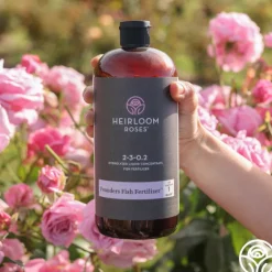 Founders Fish Fertilizer™>Heirloom Roses Best