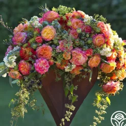Garden Delight™><noscript><img width=