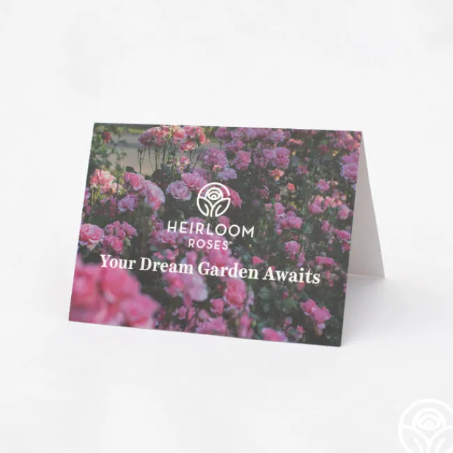 Gift Card (Tangible)>Heirloom Roses Discount