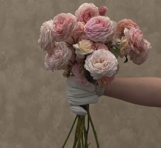 James Galway®>Heirloom Roses Hot