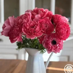 Levante Rosa><noscript><img width=