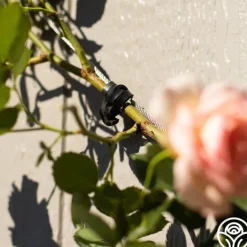 LoopLock Garden Ties><noscript><img width=