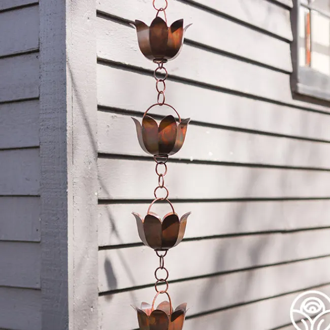 Lotus Rain Chain>Heirloom Roses Sale