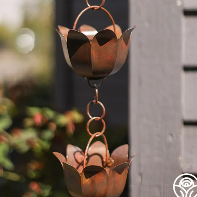 Lotus Rain Chain>Heirloom Roses Sale