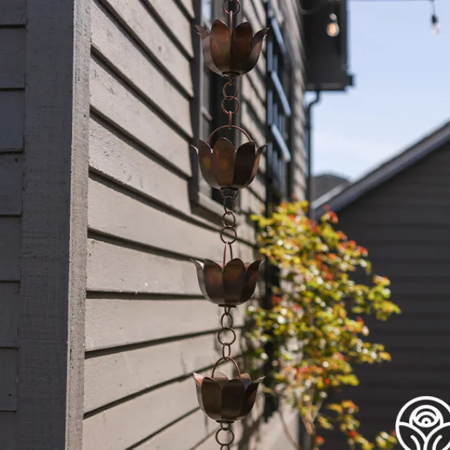 Lotus Rain Chain>Heirloom Roses Sale
