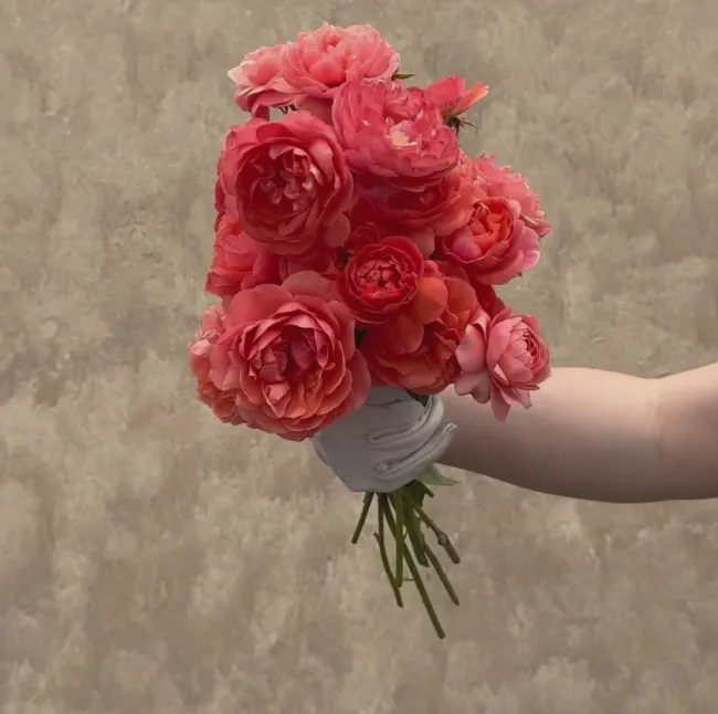 Matchless Mother™>Heirloom Roses Discount