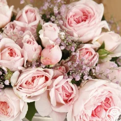 Parfuma® Bliss>Heirloom Roses Best