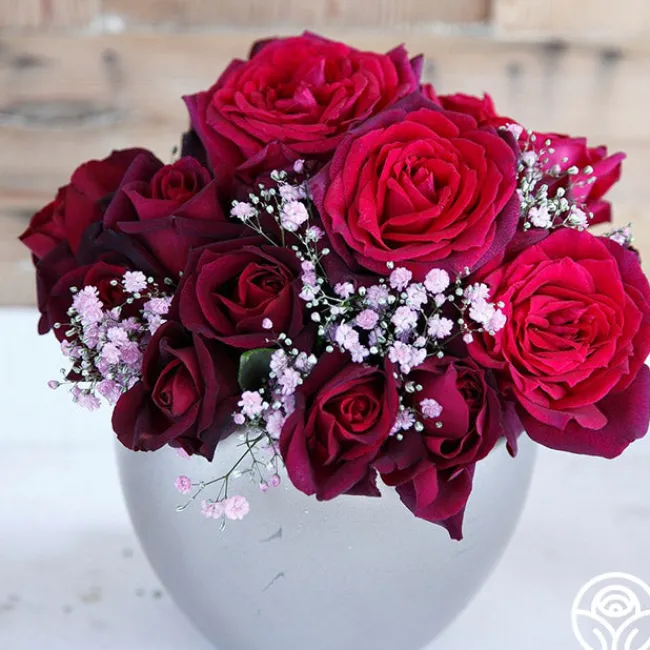 Parfuma® Dark Desire™>Heirloom Roses Sale