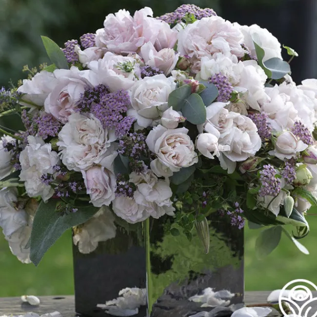 Parfuma® First Crush™>Heirloom Roses Outlet