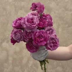 Perfume Factory™><noscript><img width=