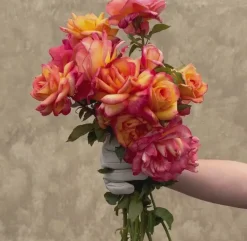 Sheila's Perfume><noscript><img width=