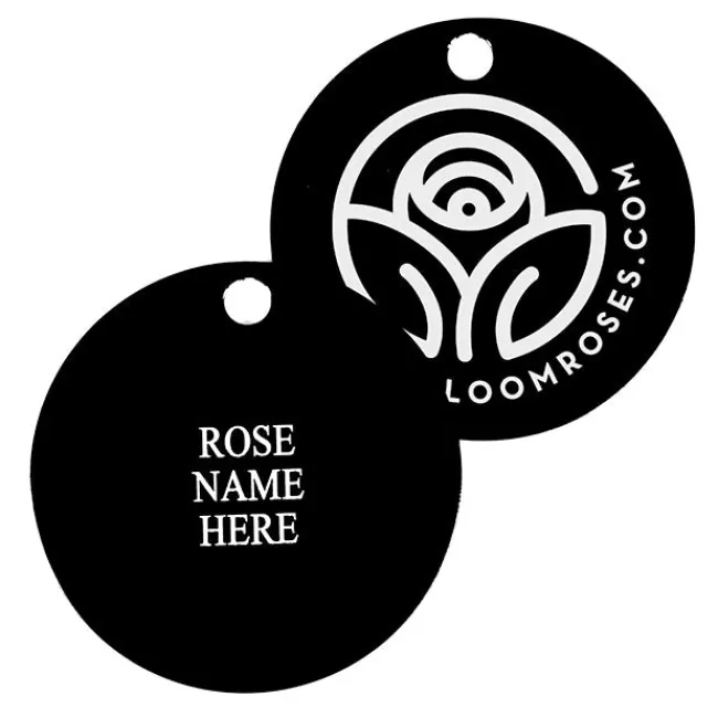 Teasing Georgia™ Tag>Heirloom Roses Online