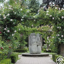 The Generous Gardener™><noscript><img width=