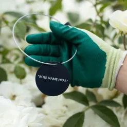 The Mayflower™ Tag><noscript><img width=