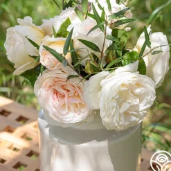 Top Cream™>Heirloom Roses Hot
