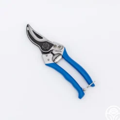 Vesco A1 Pruners>Heirloom Roses Sale