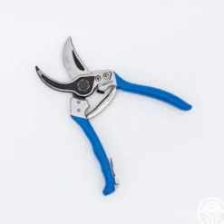 Vesco A1 Pruners>Heirloom Roses Sale
