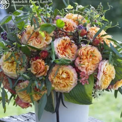 Vibrant Bouquet Collection>Heirloom Roses Best