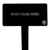 White Lightnin' Stake>Heirloom Roses Sale