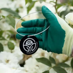 About Face™ Tag>Heirloom Roses Clearance